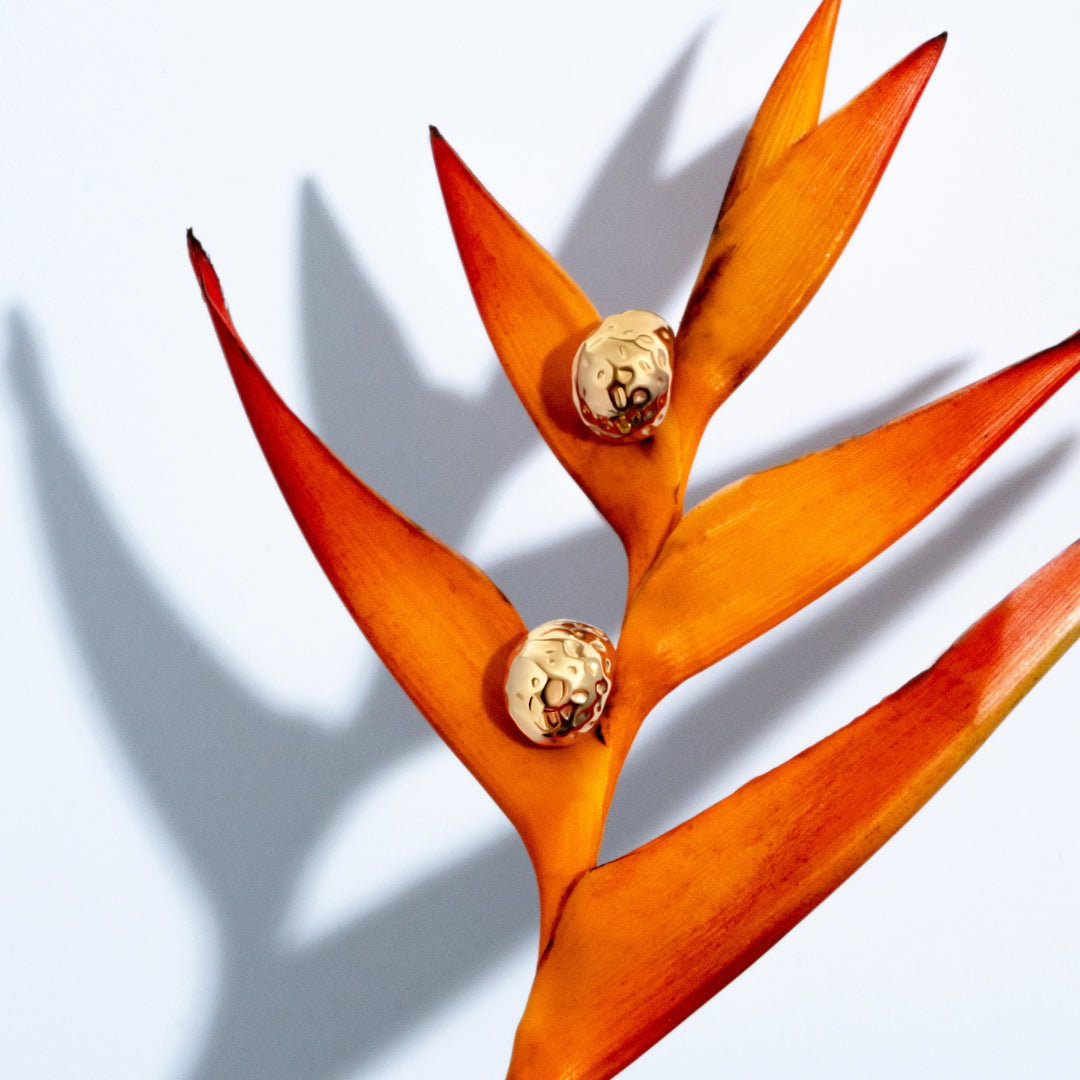 Collins Gold Earrings