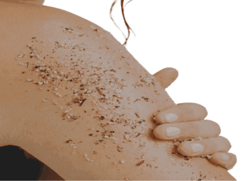 Organic Exfoliating Body Scrub -  5 Available Fragrances